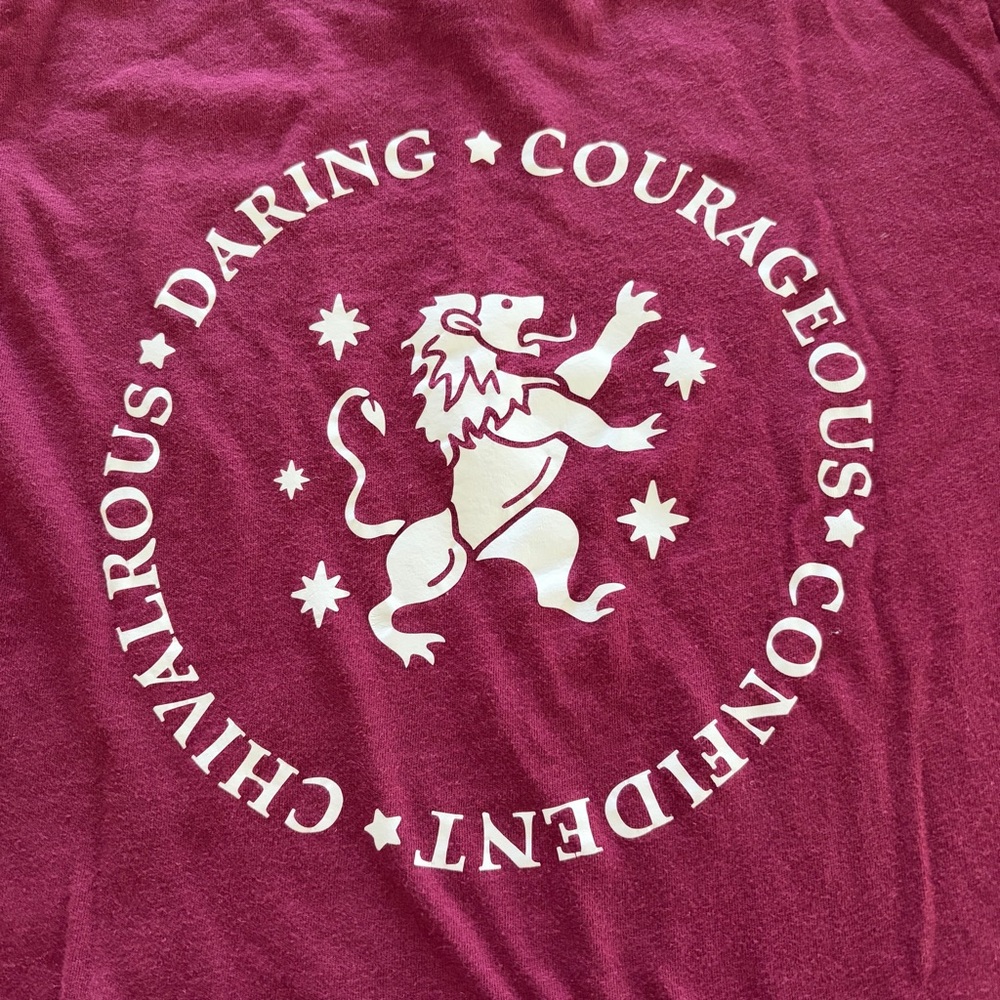 Harry Potter Gryffindor Traits Tee - Size L (14/16) - Picture 4 of 5